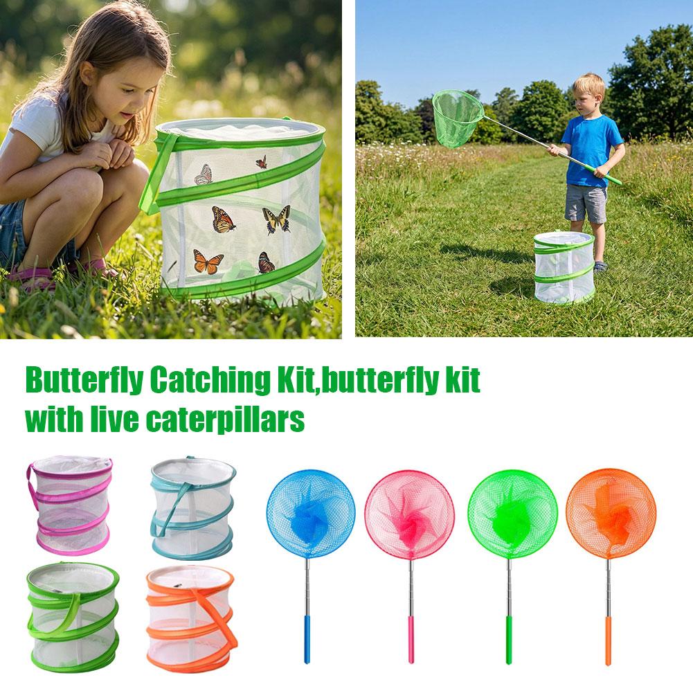 Kit de Captura de Borboletas p - Bug Catching Kit avaliação e preço